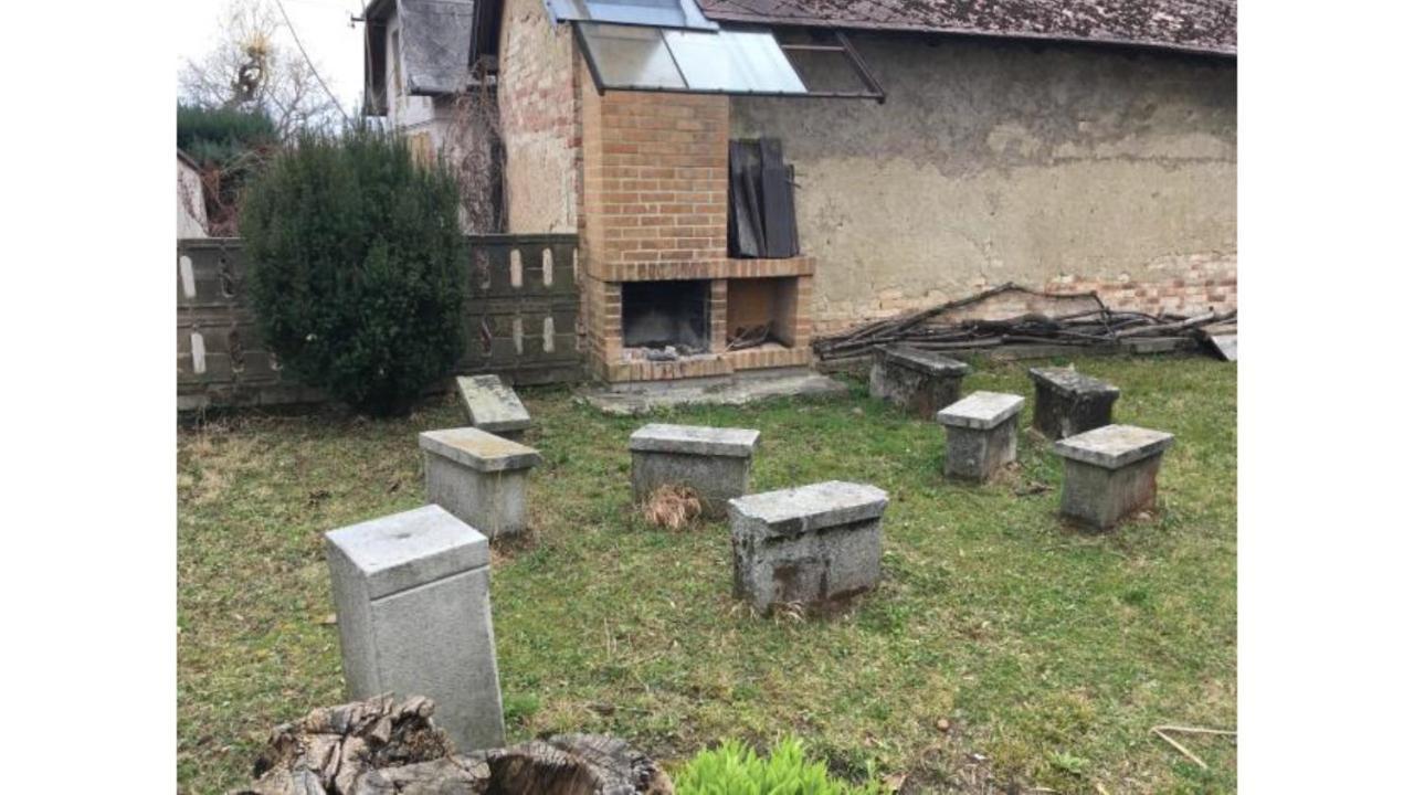 Kemp A Stanovani Na Fare Javorník Εξωτερικό φωτογραφία
